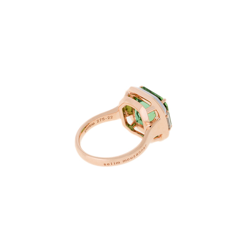 Gemma Ring - Green Tourmaline - Tanzanites
